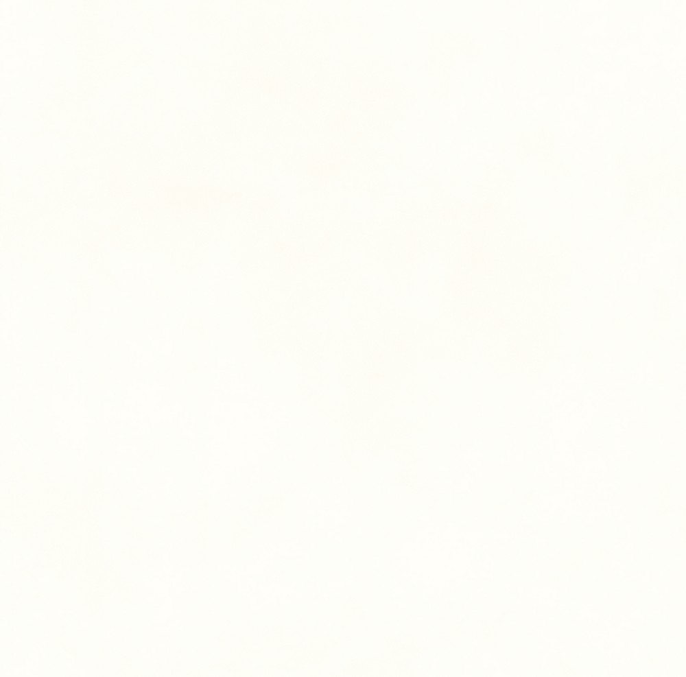 K8JS07珍珠白